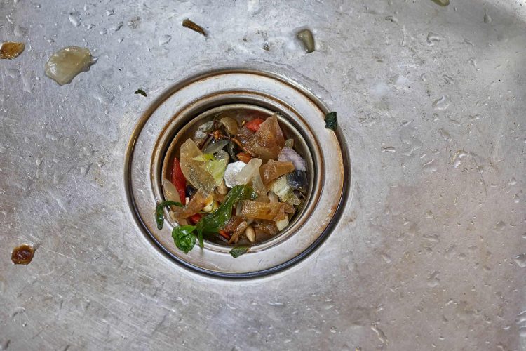 food in sink